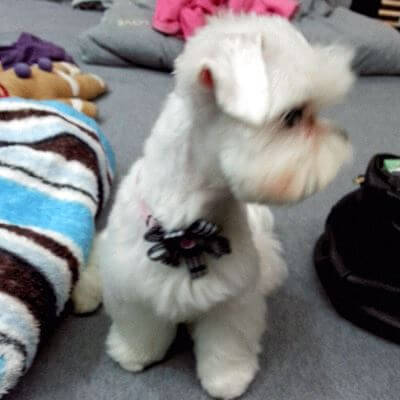 刷卡換現金推薦